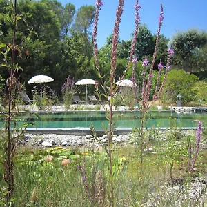 https://la-villa-les-hesperides.fr-provencehotel.com